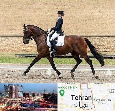 باشگاه سوارکاری بانوان در صادقیه 