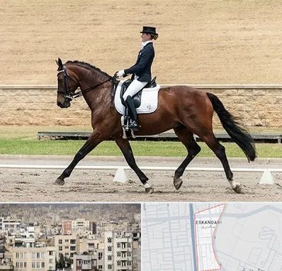 باشگاه سوارکاری بانوان در اسکندری