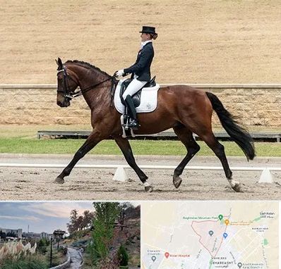 باشگاه سوارکاری بانوان در باغستان کرج