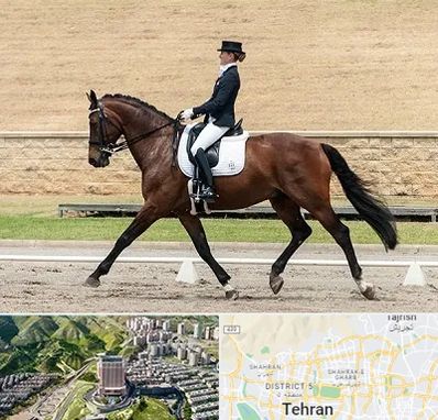 باشگاه سوارکاری بانوان در شمال تهران 