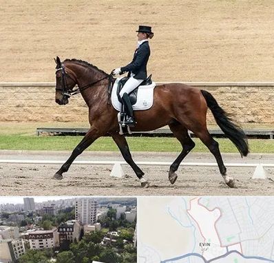 باشگاه سوارکاری بانوان در اوین