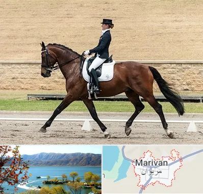 باشگاه سوارکاری بانوان در مریوان