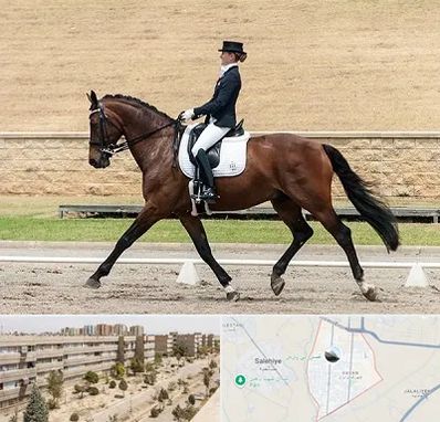 باشگاه سوارکاری بانوان در واوان اسلامشهر