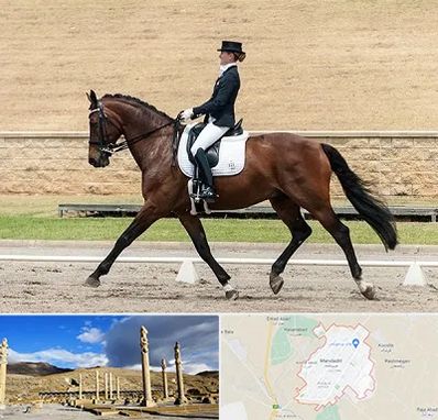 باشگاه سوارکاری بانوان در مرودشت