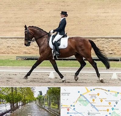 باشگاه سوارکاری بانوان در خیابان ارم شیراز