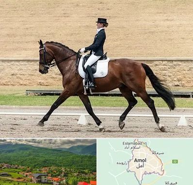 باشگاه سوارکاری بانوان در آمل