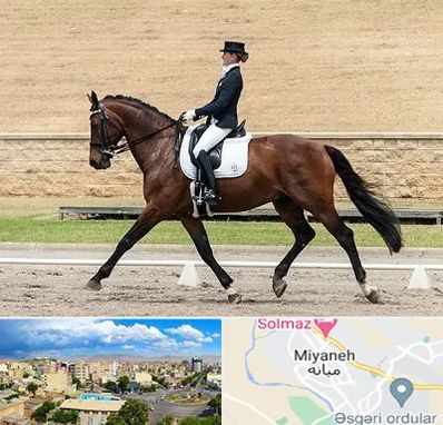 باشگاه سوارکاری بانوان در میانه