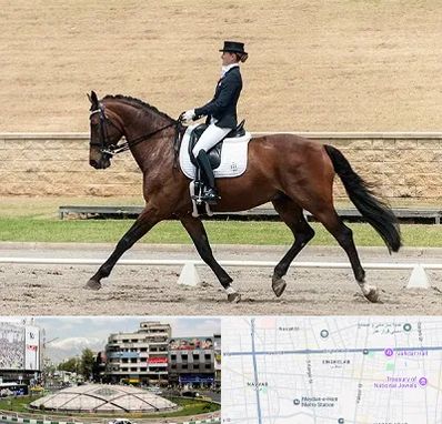 باشگاه سوارکاری بانوان در مرکز تهران