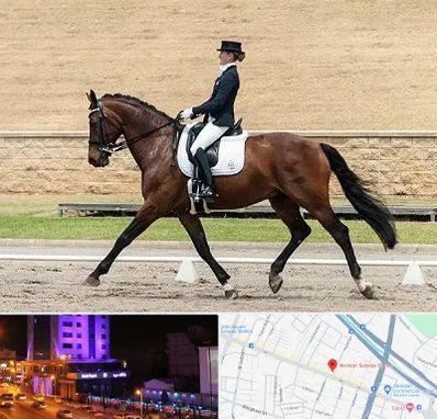 باشگاه سوارکاری بانوان در آبرسان تبریز