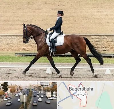 باشگاه سوارکاری بانوان در باقرشهر