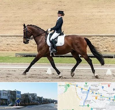 باشگاه سوارکاری بانوان در شریعتی مشهد