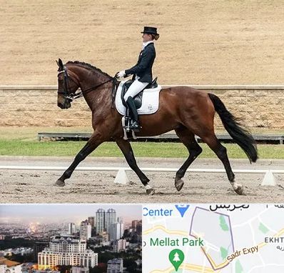 باشگاه سوارکاری بانوان در الهیه 