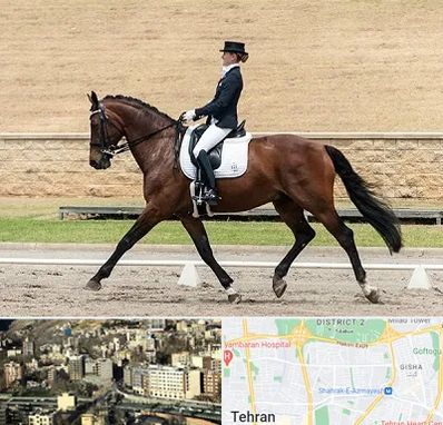 باشگاه سوارکاری بانوان در مرزداران 