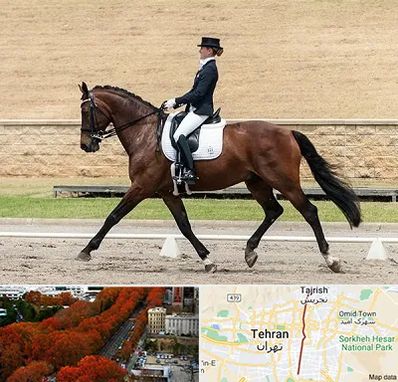 باشگاه سوارکاری بانوان در ولیعصر 