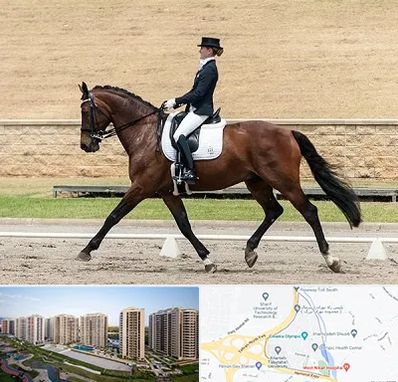 باشگاه سوارکاری بانوان در المپیک 