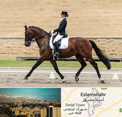 باشگاه سوارکاری بانوان در اسلامشهر