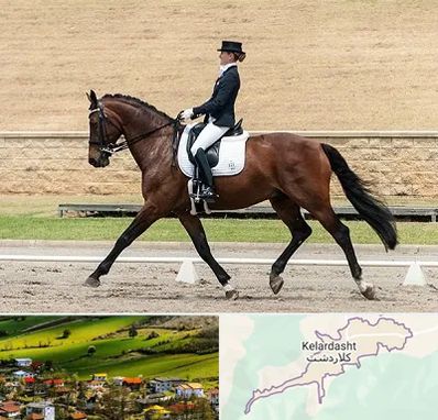 باشگاه سوارکاری بانوان در کلاردشت