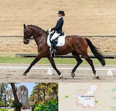 باشگاه سوارکاری بانوان در نیشابور