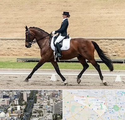 باشگاه سوارکاری بانوان در منطقه 18 تهران 