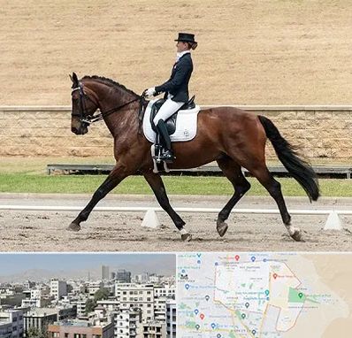 باشگاه سوارکاری بانوان در منطقه 14 تهران 