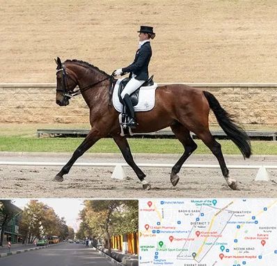 باشگاه سوارکاری بانوان در شریعتی 