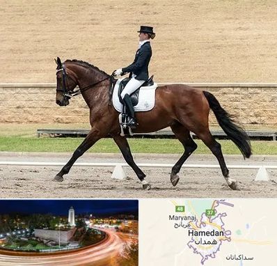 باشگاه سوارکاری بانوان در همدان