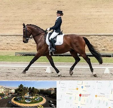 باشگاه سوارکاری بانوان در هفت حوض 