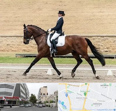 باشگاه سوارکاری بانوان در بلوار فردوس 