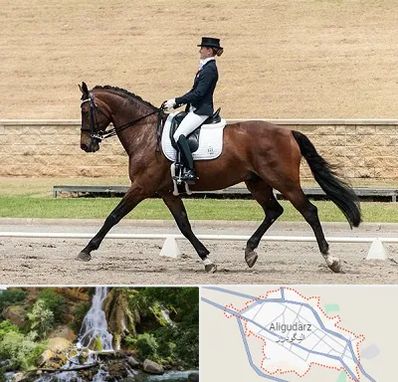 باشگاه سوارکاری بانوان در الیگودرز