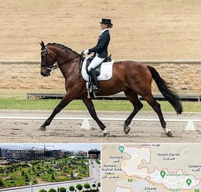 باشگاه سوارکاری بانوان در پردیس