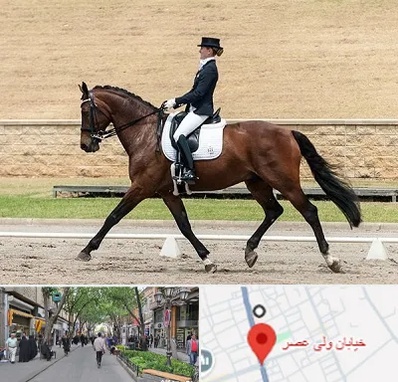 باشگاه سوارکاری بانوان در ولیعصر شهریار