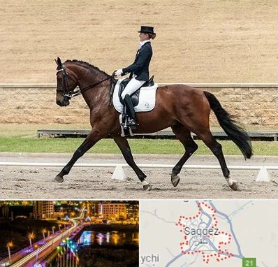 باشگاه سوارکاری بانوان در سقز