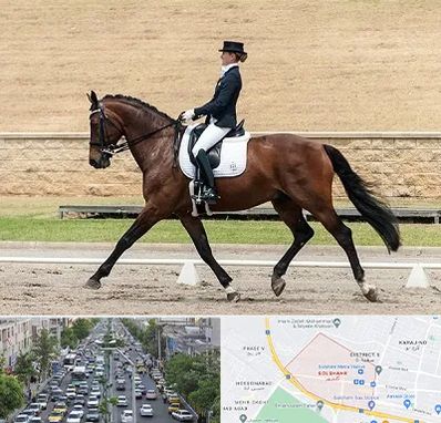 باشگاه سوارکاری بانوان در گلشهر کرج