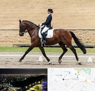 باشگاه سوارکاری بانوان در هفت تیر مشهد