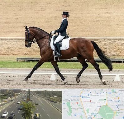 باشگاه سوارکاری بانوان در منطقه 17 تهران 