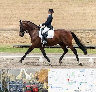 باشگاه سوارکاری بانوان در خیابان آزادی 