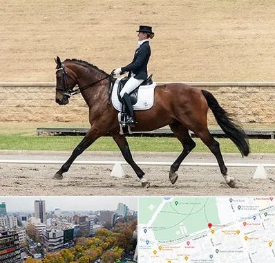 باشگاه سوارکاری بانوان در بلوار کشاورز 
