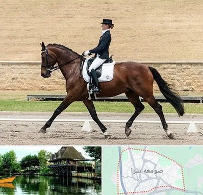 باشگاه سوارکاری بانوان در صومعه سرا