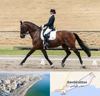 باشگاه سوارکاری بانوان در بندرعباس