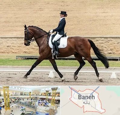 باشگاه سوارکاری بانوان در بانه