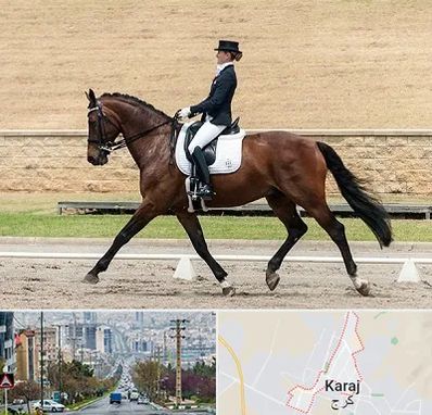 باشگاه سوارکاری بانوان در گوهردشت کرج 