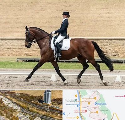 باشگاه سوارکاری بانوان در خیابان نیایش شیراز