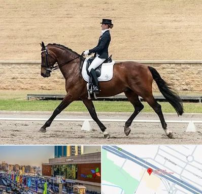 باشگاه سوارکاری بانوان در لاله پارک تبریز