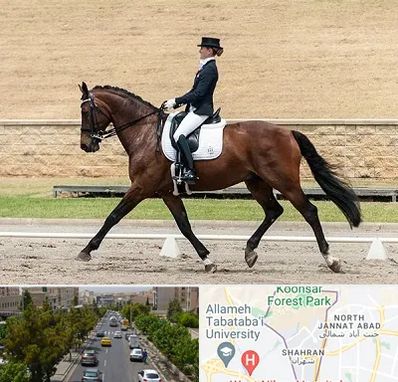 باشگاه سوارکاری بانوان در شهران 