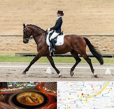 باشگاه سوارکاری بانوان در میدان ولیعصر 