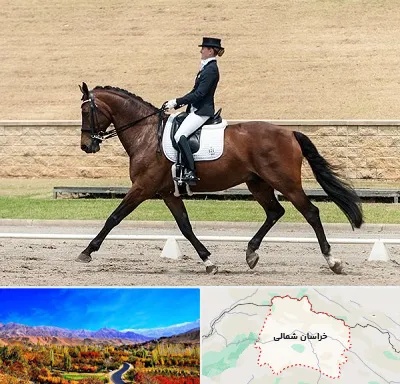 باشگاه سوارکاری بانوان در خراسان شمالی