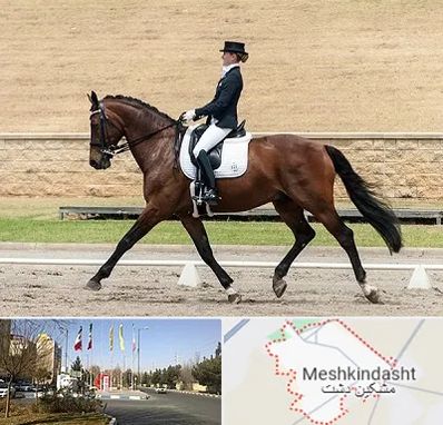 باشگاه سوارکاری بانوان در مشکین دشت