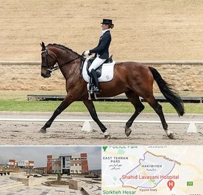 باشگاه سوارکاری بانوان در حکیمیه 