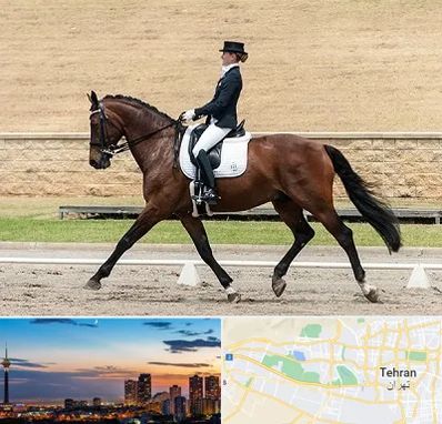 باشگاه سوارکاری بانوان در غرب تهران 