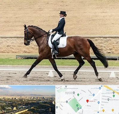 باشگاه سوارکاری بانوان در هنگام 